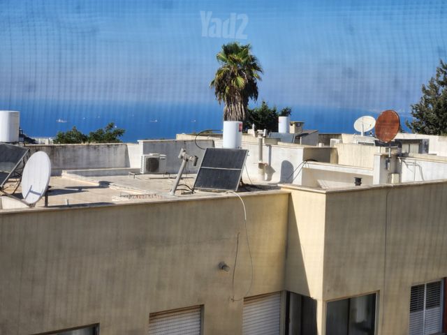 חנה רובינא 