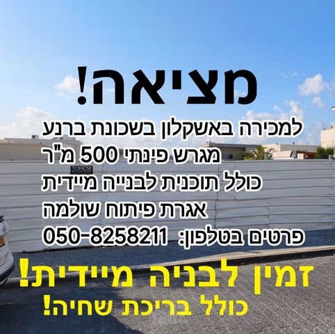 אורה ושמחה 