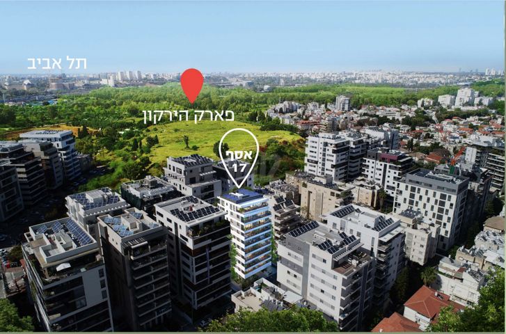 אסף 