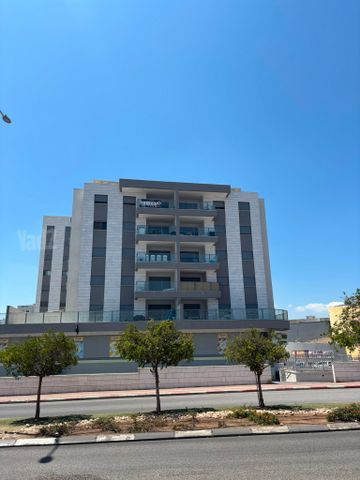 יוסף ברזילאי 4