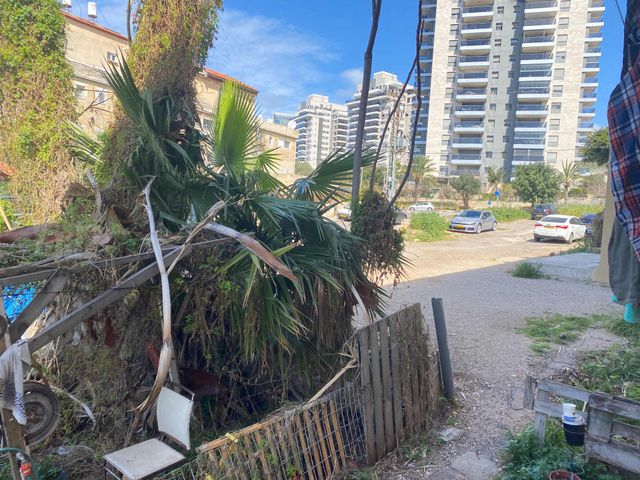 Haifa, Israel 15