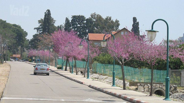 משק חקלאי/ נחלה, בן עמי