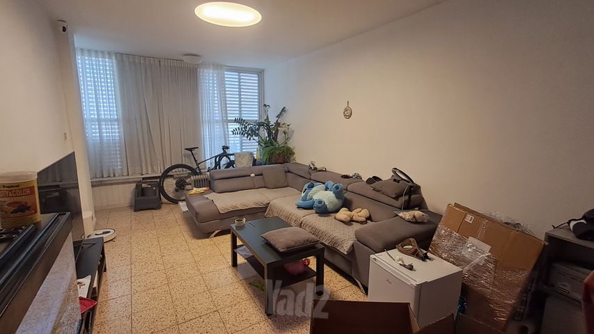 אלי כהן 