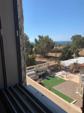 אלמוג 3