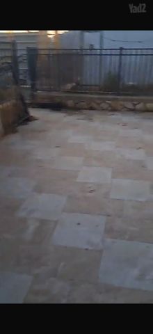 הרב פנחס לוין 10