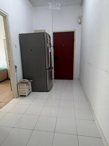 כצנלסון 146