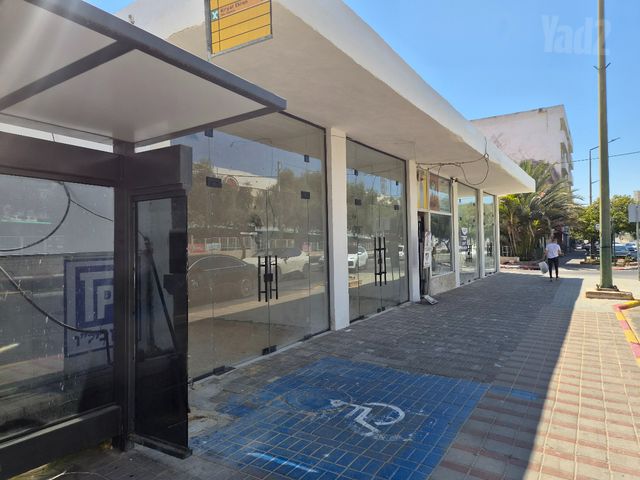 ביל"ו 19