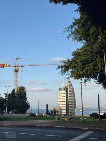 שוק תלפיות