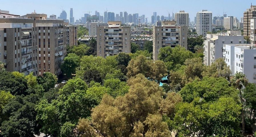 אופנהיימר 
