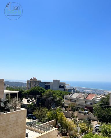 גבעת דאונס 24