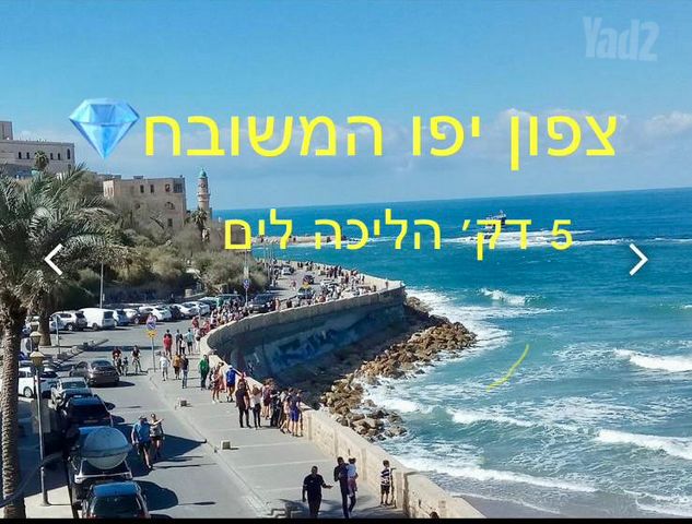 שארית ישראל 2