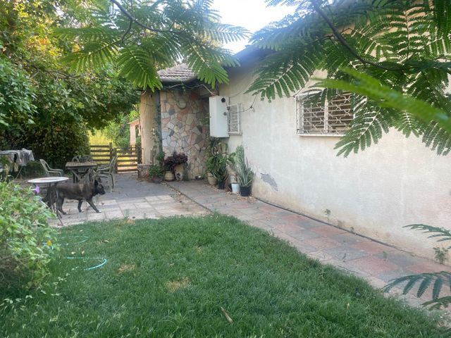 מורדי הגטאות 1