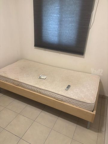הצוקים 4
