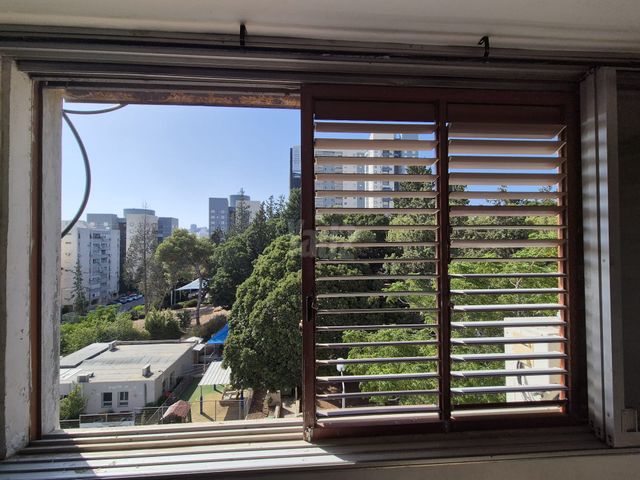 חניתה 52