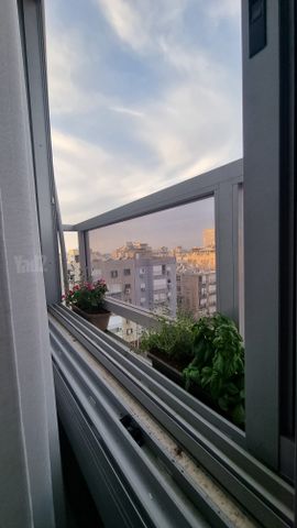 בלפור 163