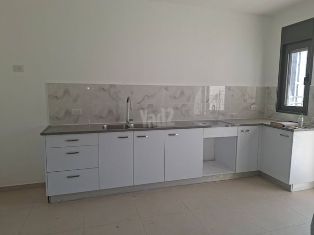 שמעון מישורי 12