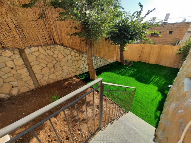 דב גרונר 