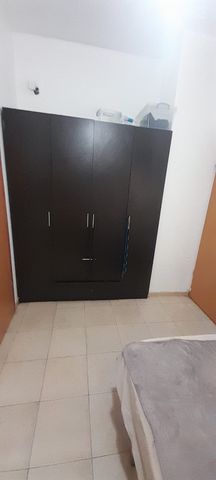 האקליפטוס 2
