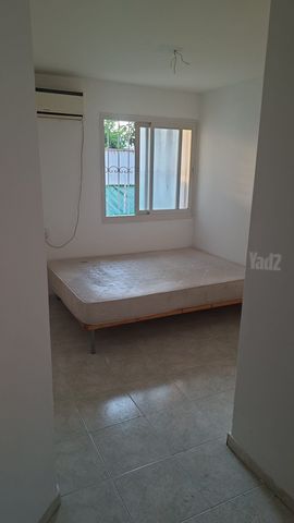 רמב"ם 15