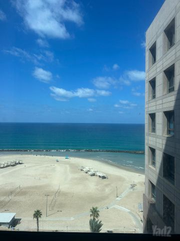 דוד אלעזר 10