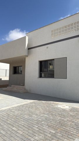איילת השחר 31