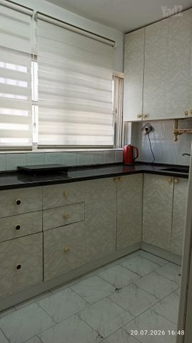 כצנלסון 55
