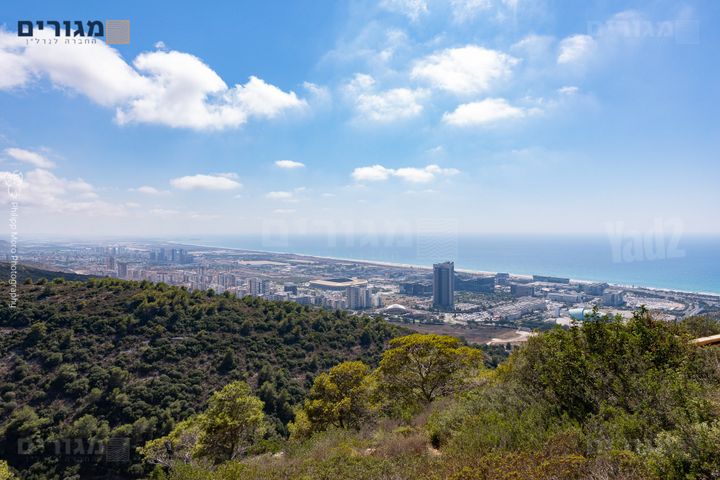 רות 