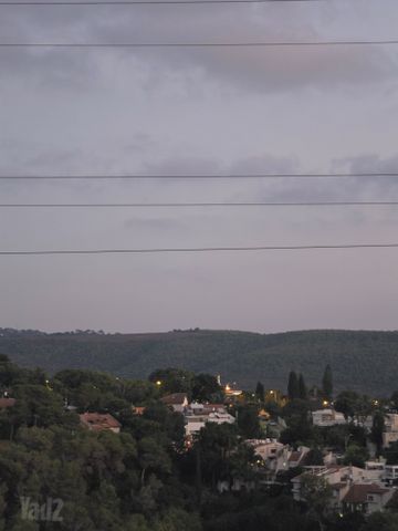 ג'ניה טברסקי 
