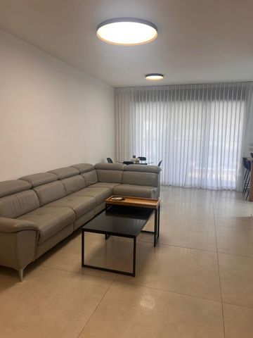 מנחם רצון 24