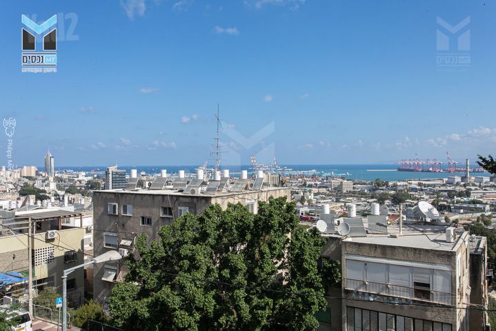 דוד רזיאל 