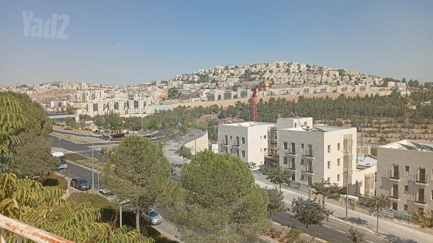 הנרי מורגנטאו 