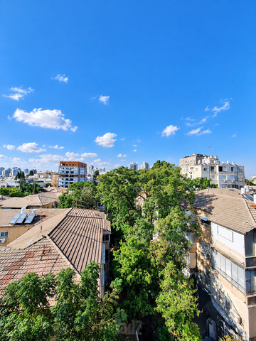סלומון 2