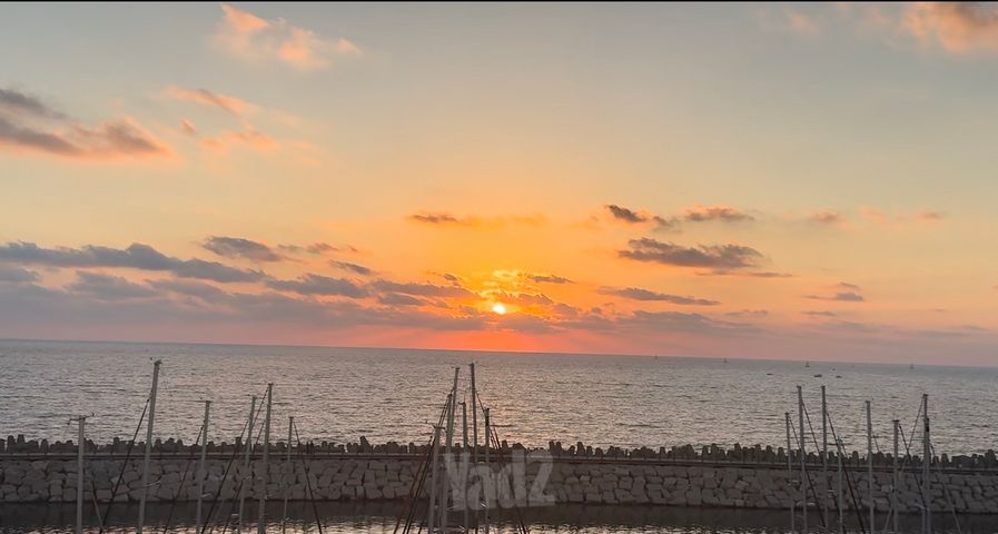 מרינה