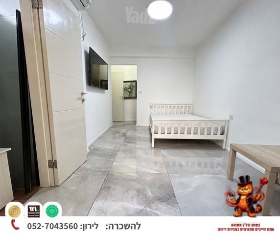 שיינקין 