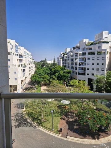 אלכסנדר סשה ארגוב 