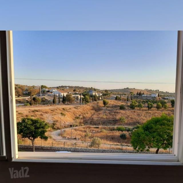 שניר 61