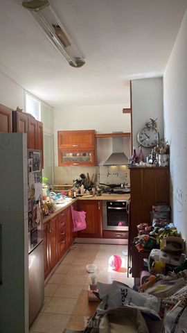 ראובן 8
