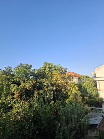 לוי אשכול 24