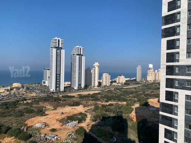 ארצי שרמן 2
