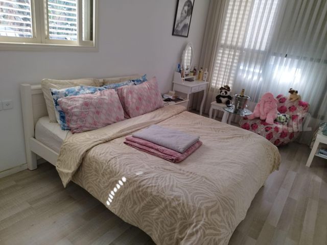 קפלן 31