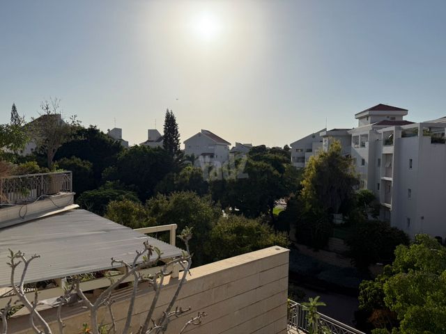 2003