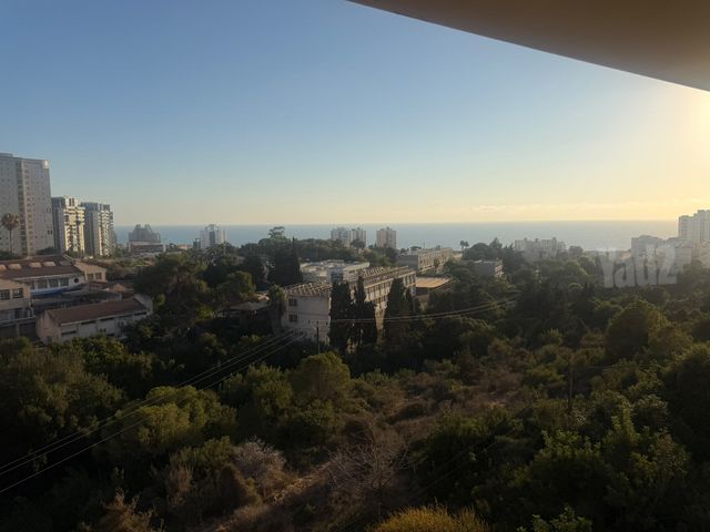 דוד בר רב האי 42