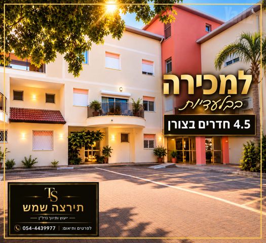 השקמה 
