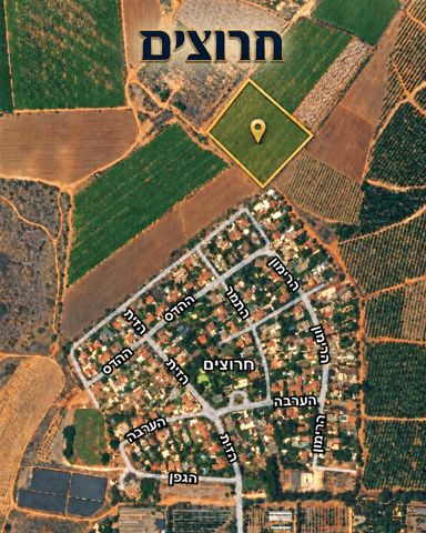 מגרשים
