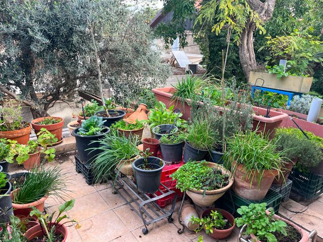 Herzliya, Israel 3
