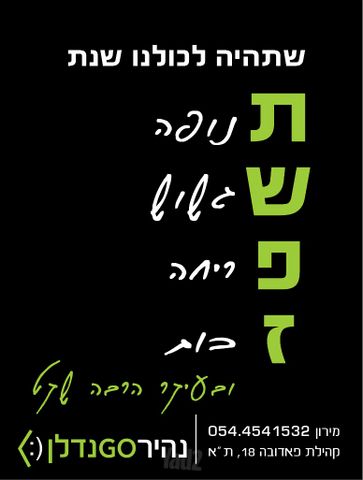 בני אפרים 