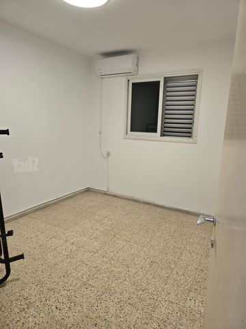 האורן 