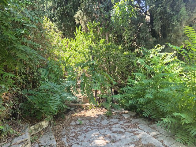 Jerusalem, Israel 4