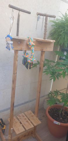 תמונת מודעה - חיות מחמד
