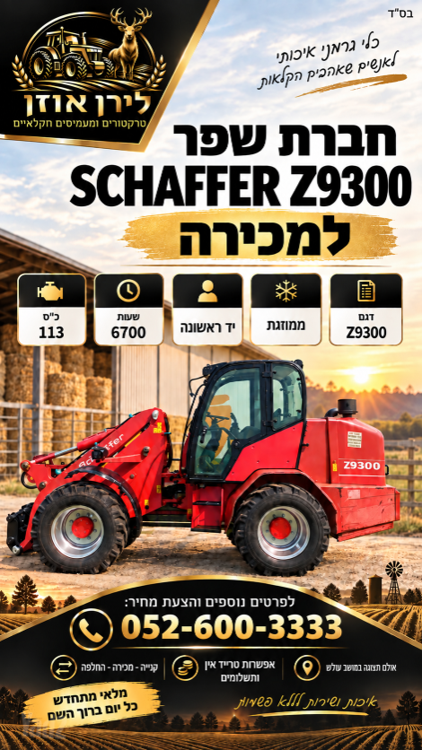 מודעת רכב מיני מעמיס